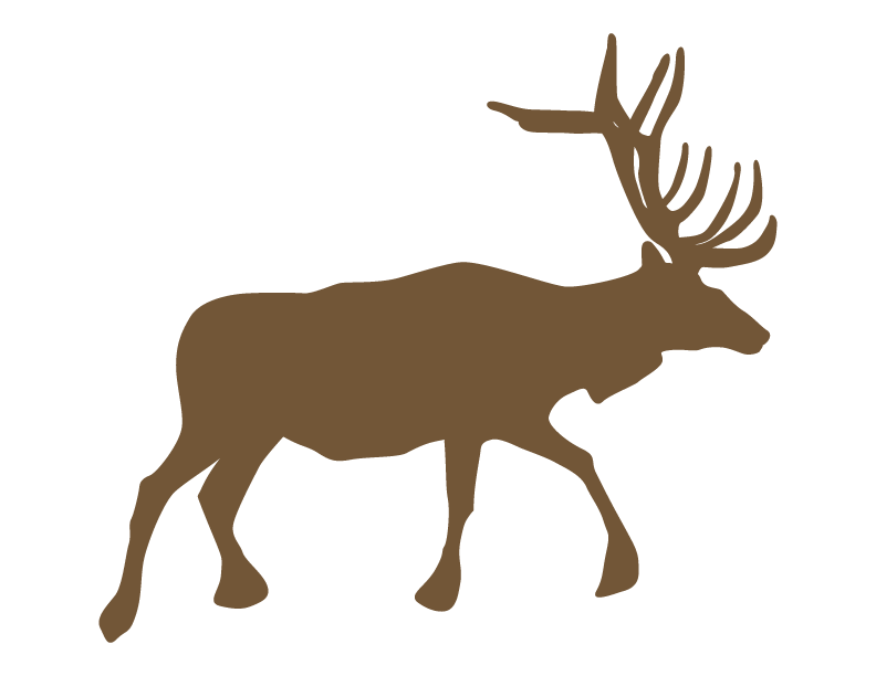 Elk