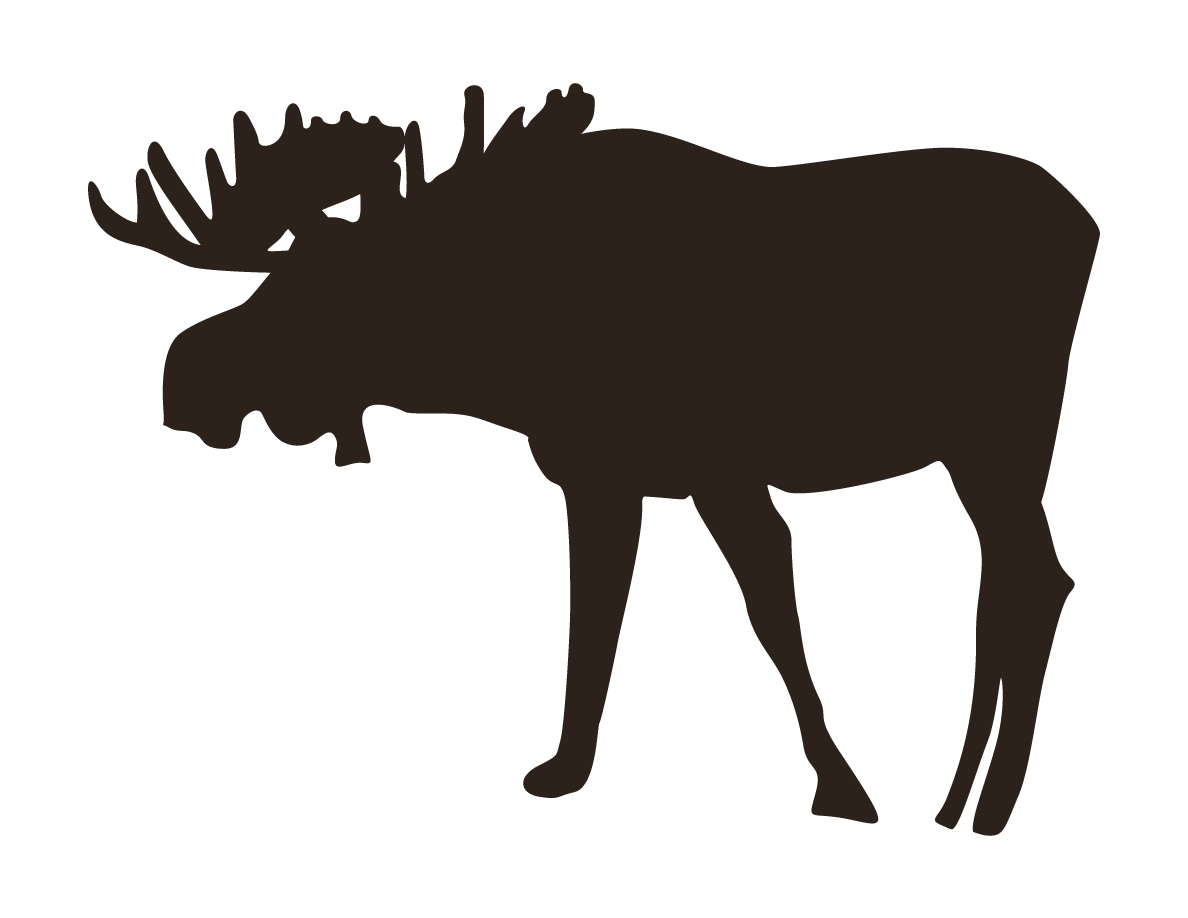 Moose